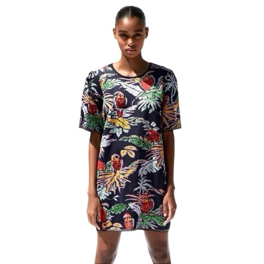 Zara Printed Jacquard Dress